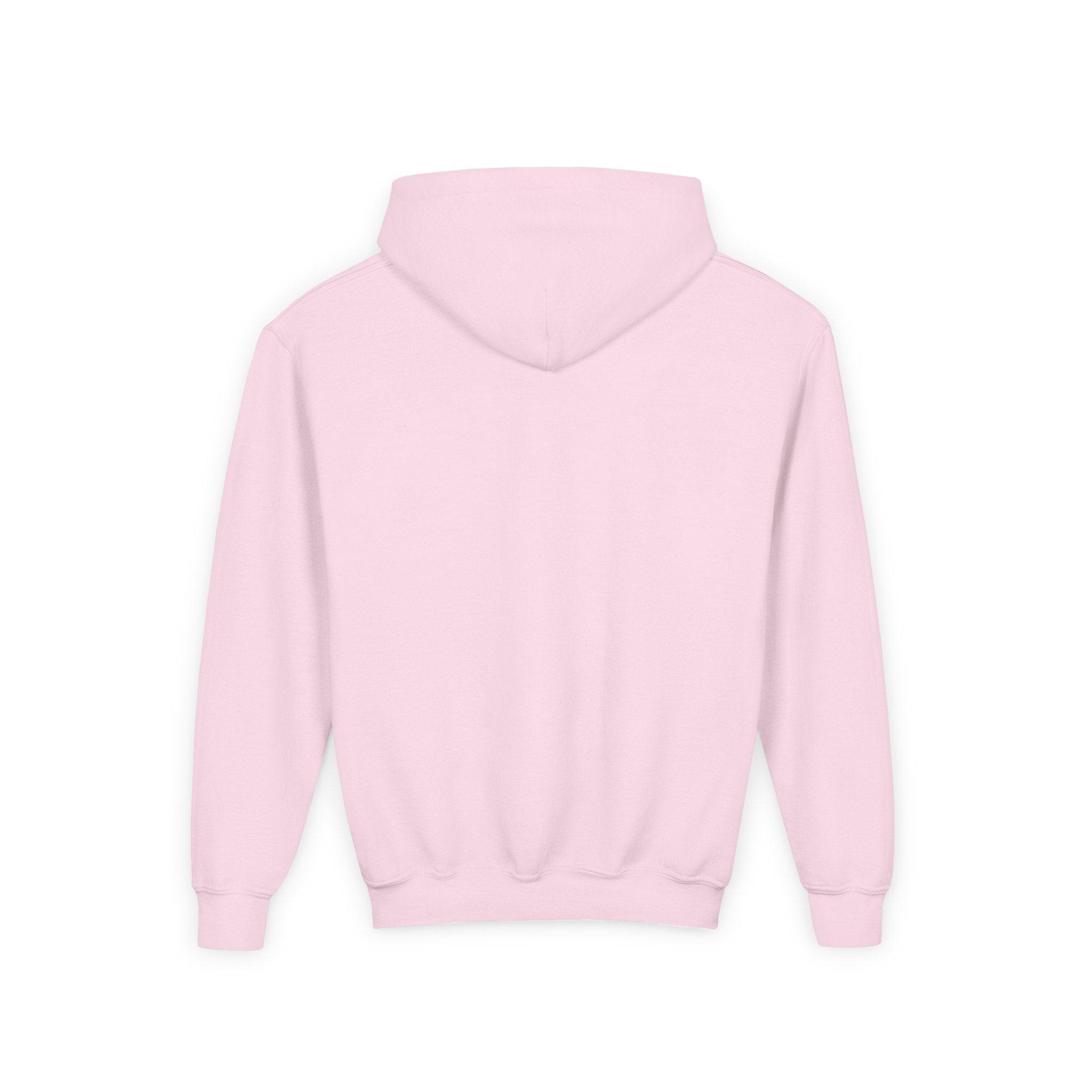 VISTA Porcupines YOUTH Hoodie