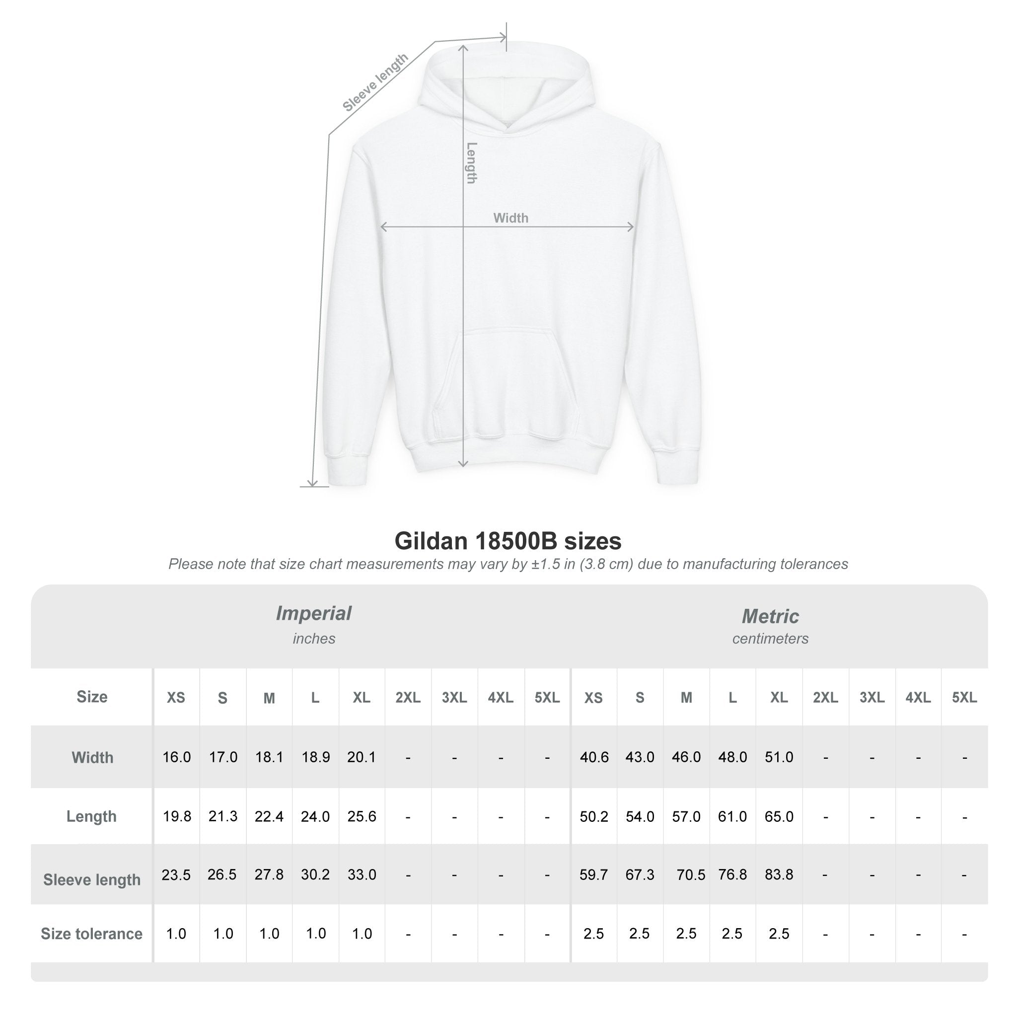 VISTA Porcupines YOUTH Hoodie