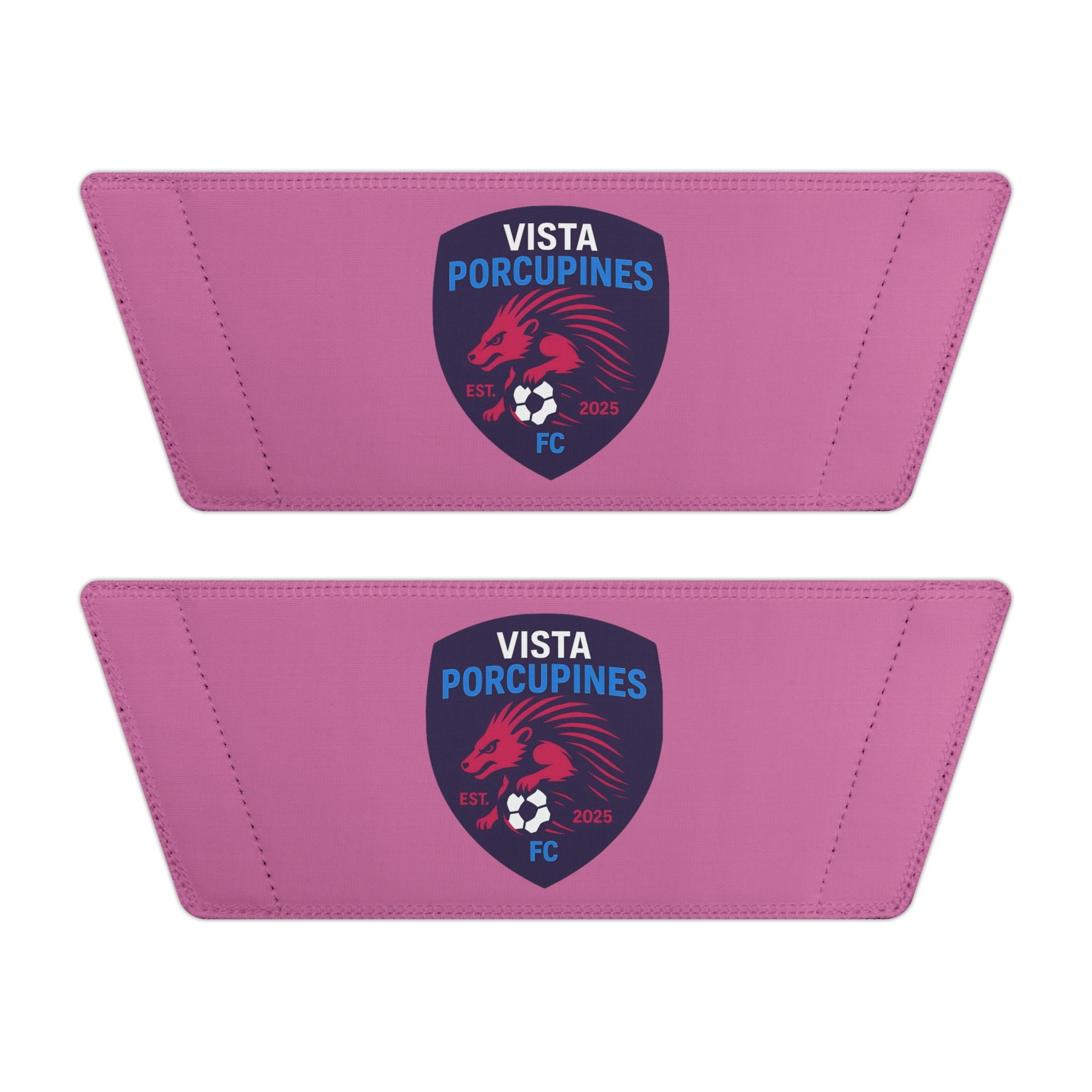 VISTA Porcupines YOUTH customizable Slides