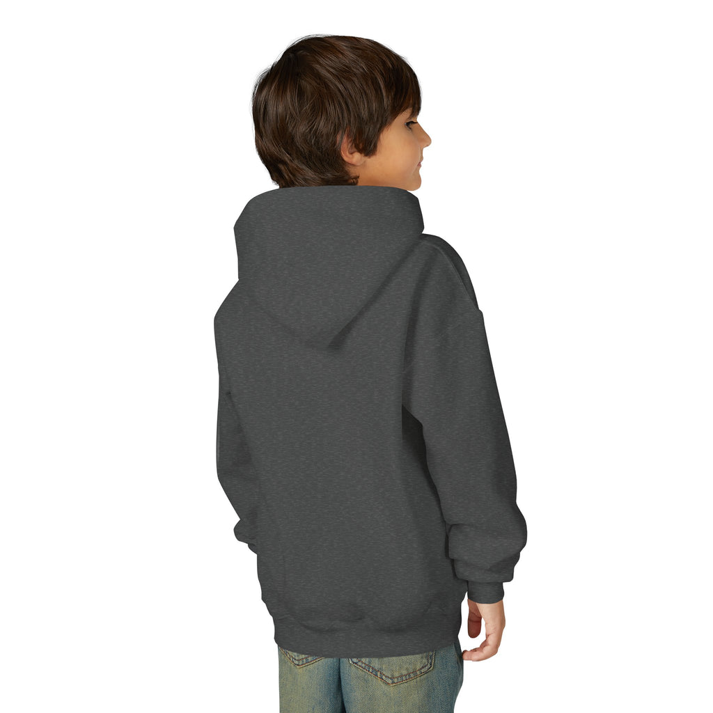 VISTA Porcupine- YOUTH Soccer Team Hoodie