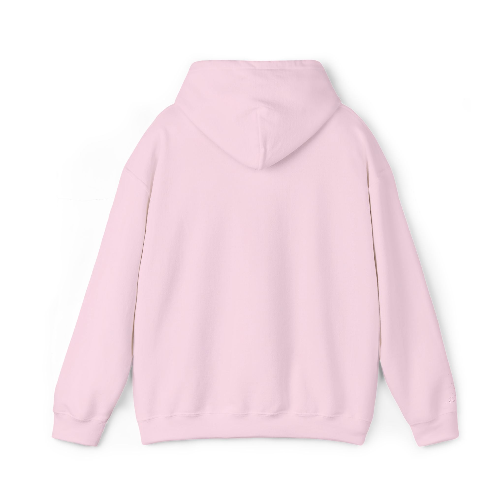 VISTA Porcupines- ADULT EMBROIDERED Cozy Unisex Hooded Sweatshirt with Front Pocket