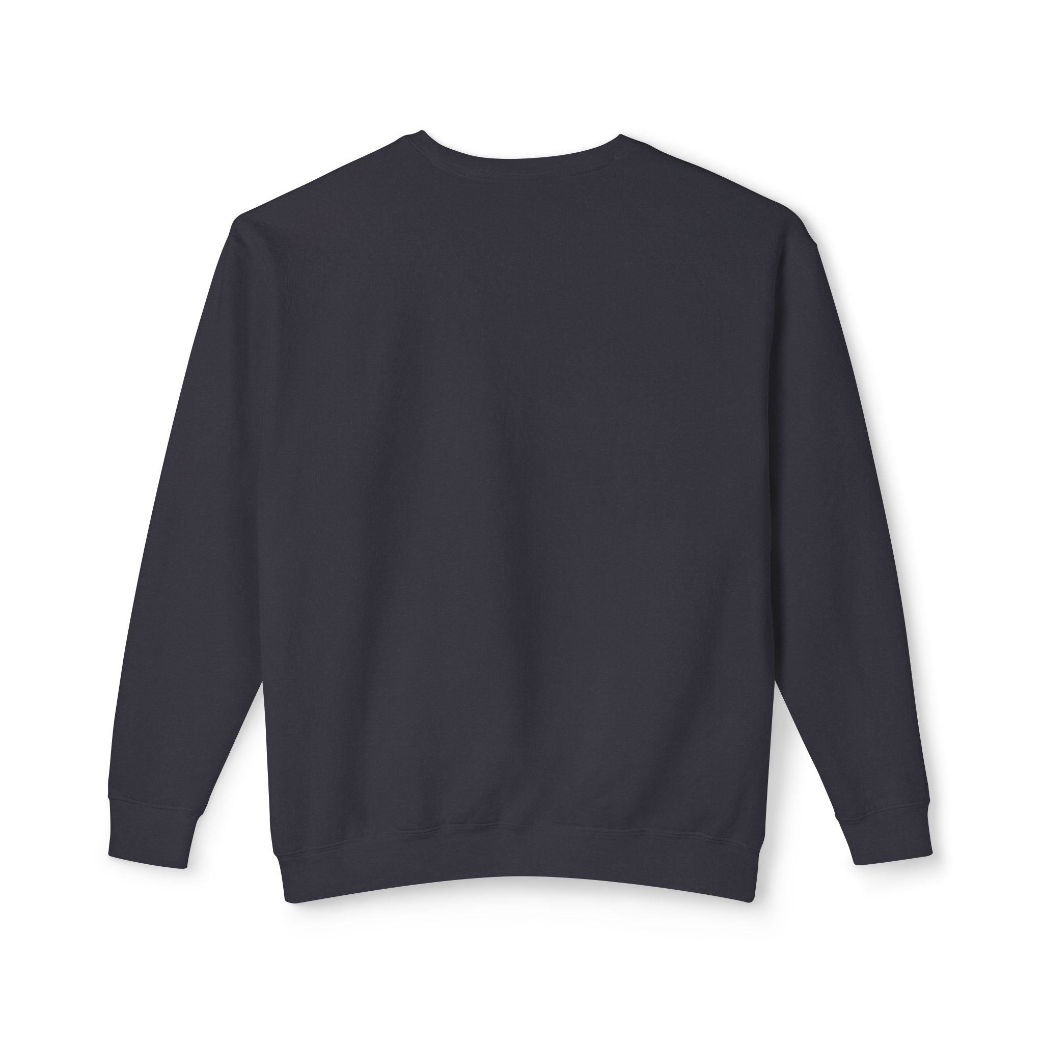 Vista Fury Crewneck Sweatshirt - CHALKY MINT is Fury Turq