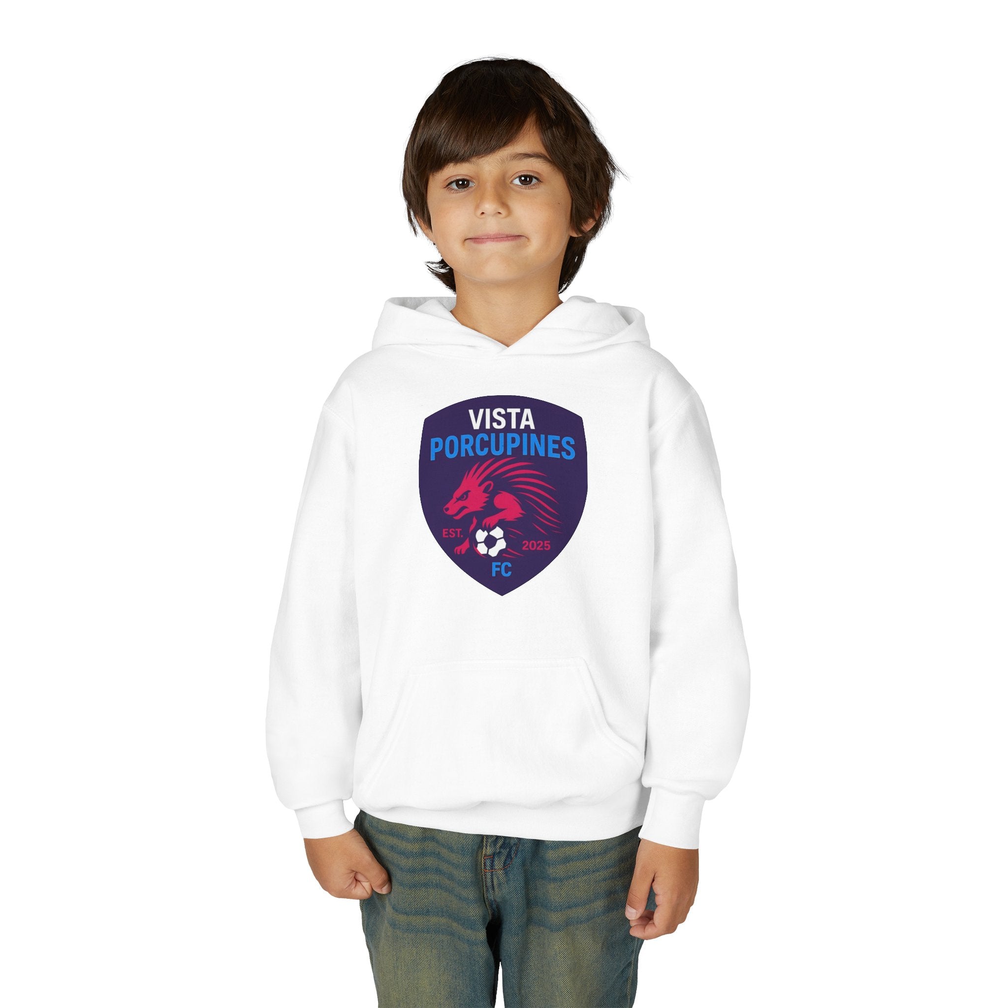 VISTA Porcupines YOUTH Hoodie