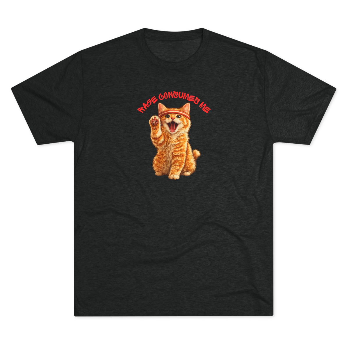 Rage Consumes Me Tri-blend Tee