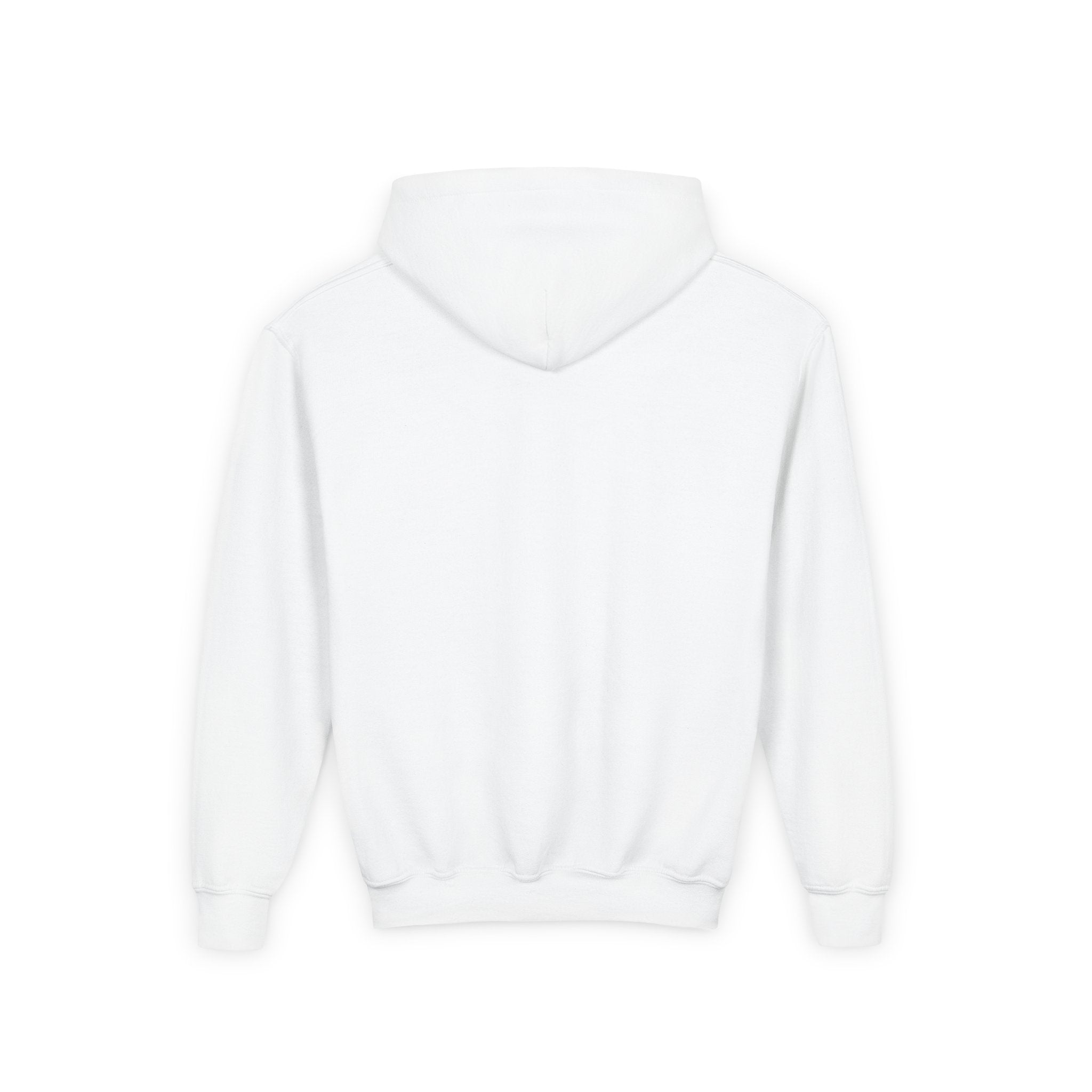 VISTA Porcupines YOUTH Hoodie