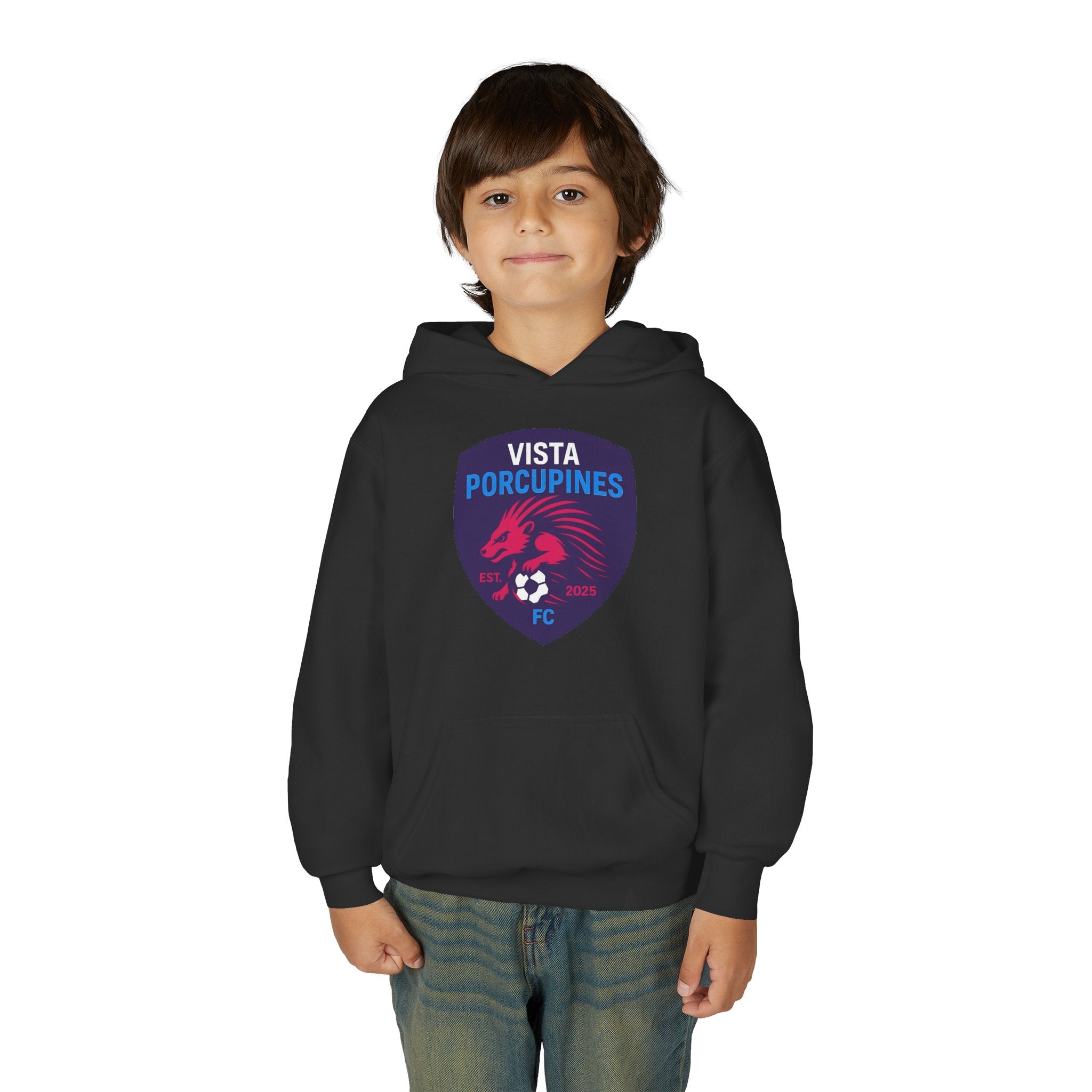 VISTA Porcupines YOUTH Hoodie