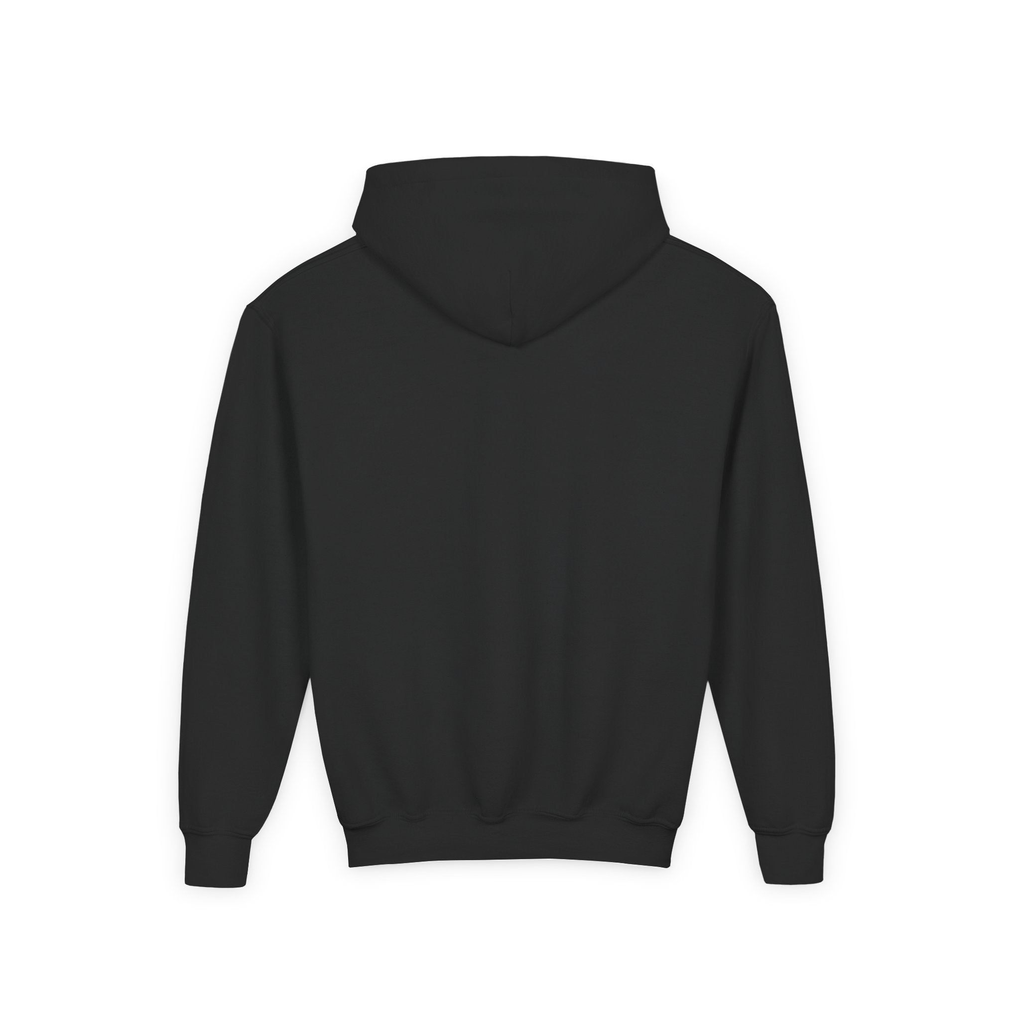 VISTA Porcupines YOUTH Hoodie