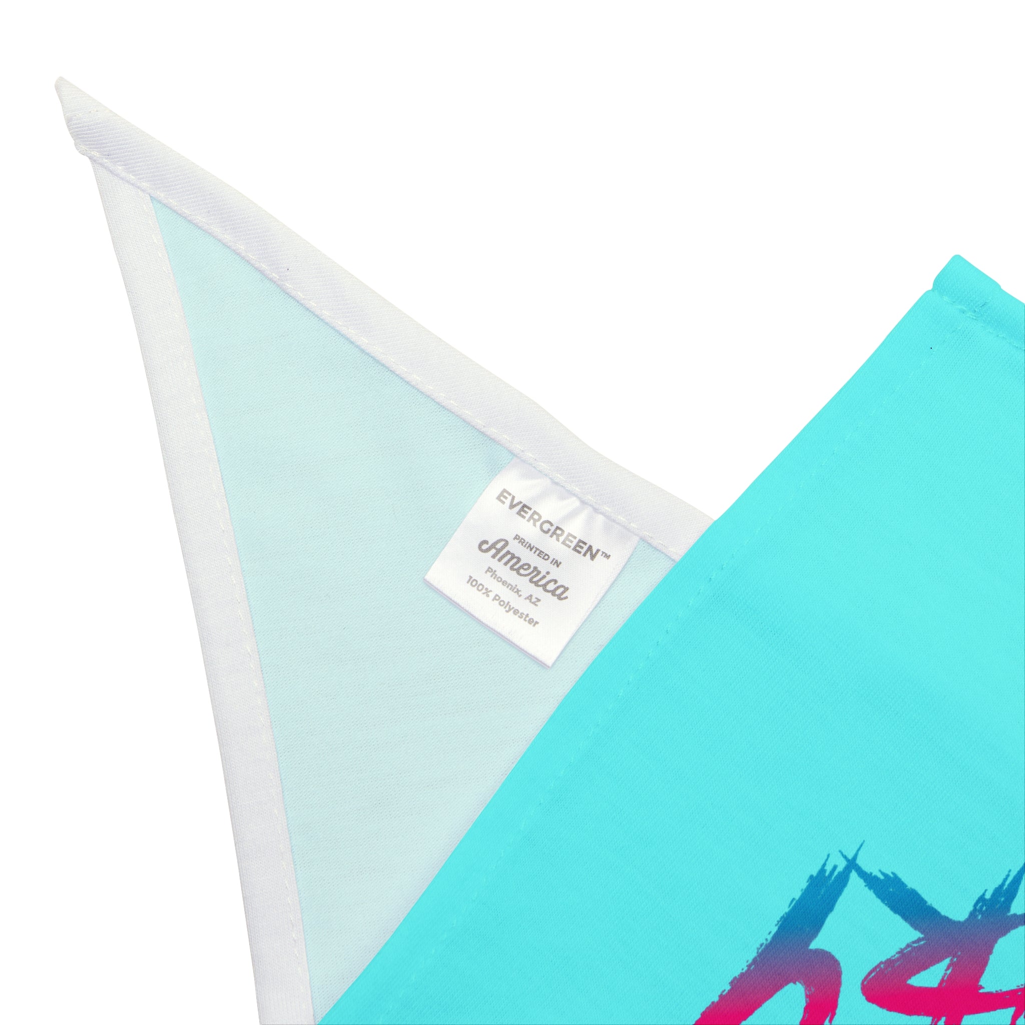 Vista Fury Pet Bandana - Retro Neon Spartan Logo Dog & Cat Accessory