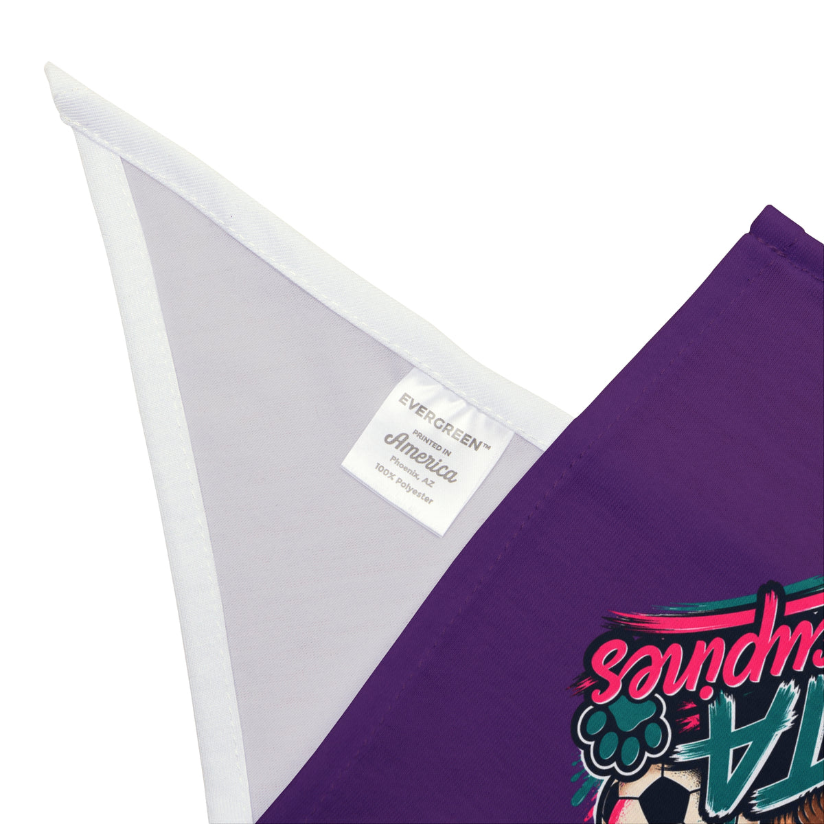 Vista Porcupines Pet Bandana – Cute Soccer Porcupine Dog & Cat Bandana