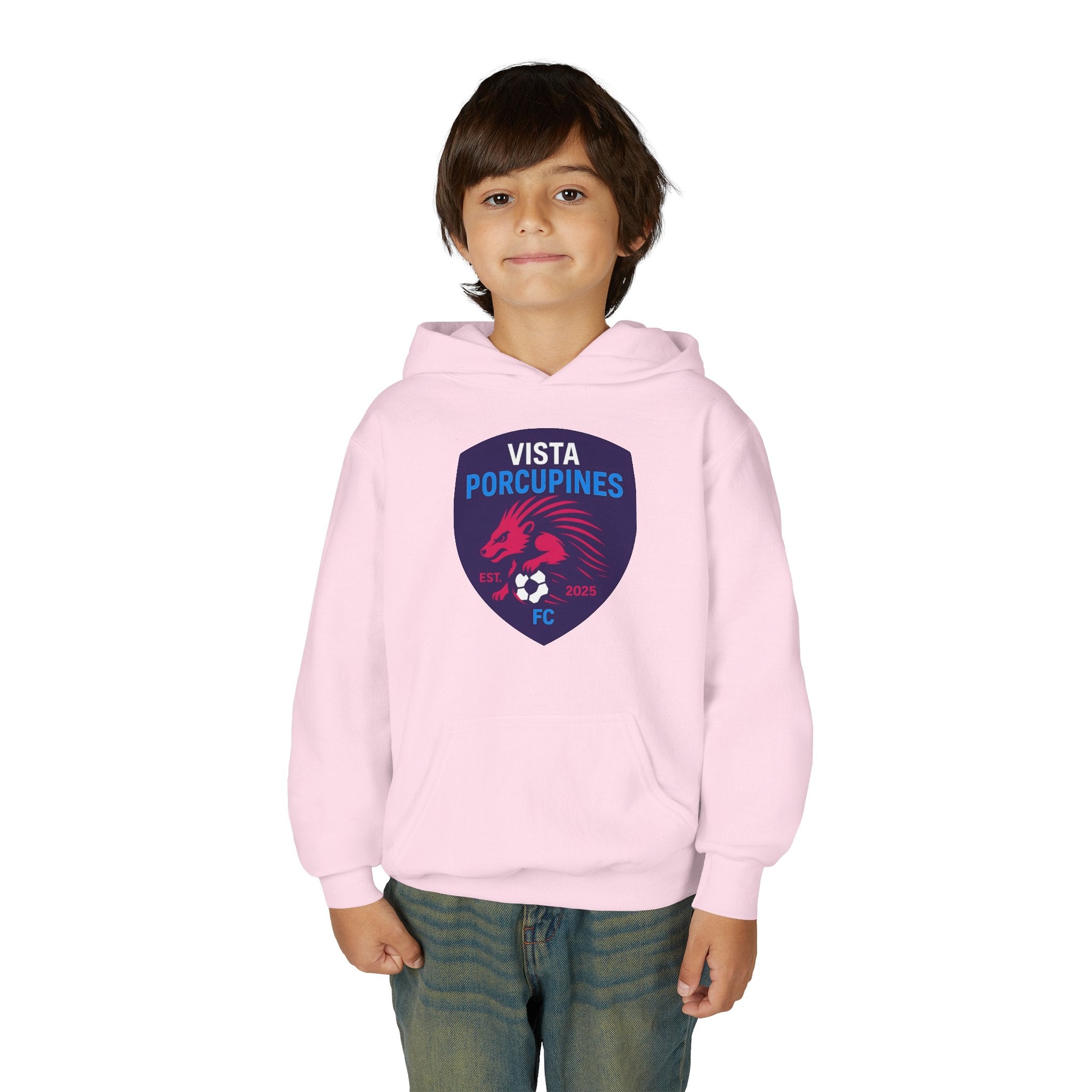 VISTA Porcupines YOUTH Hoodie