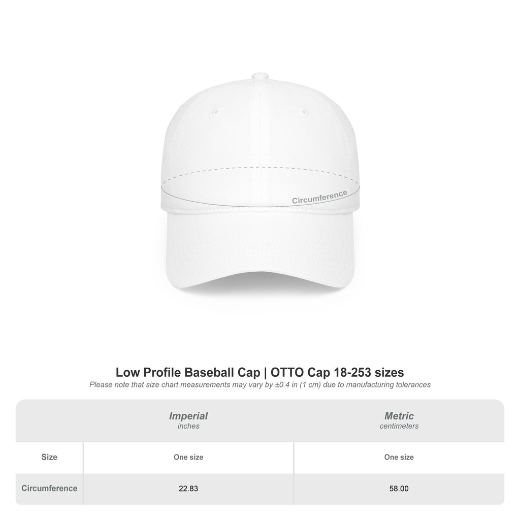 VISTA Porcupines - FC Low Profile Baseball Cap