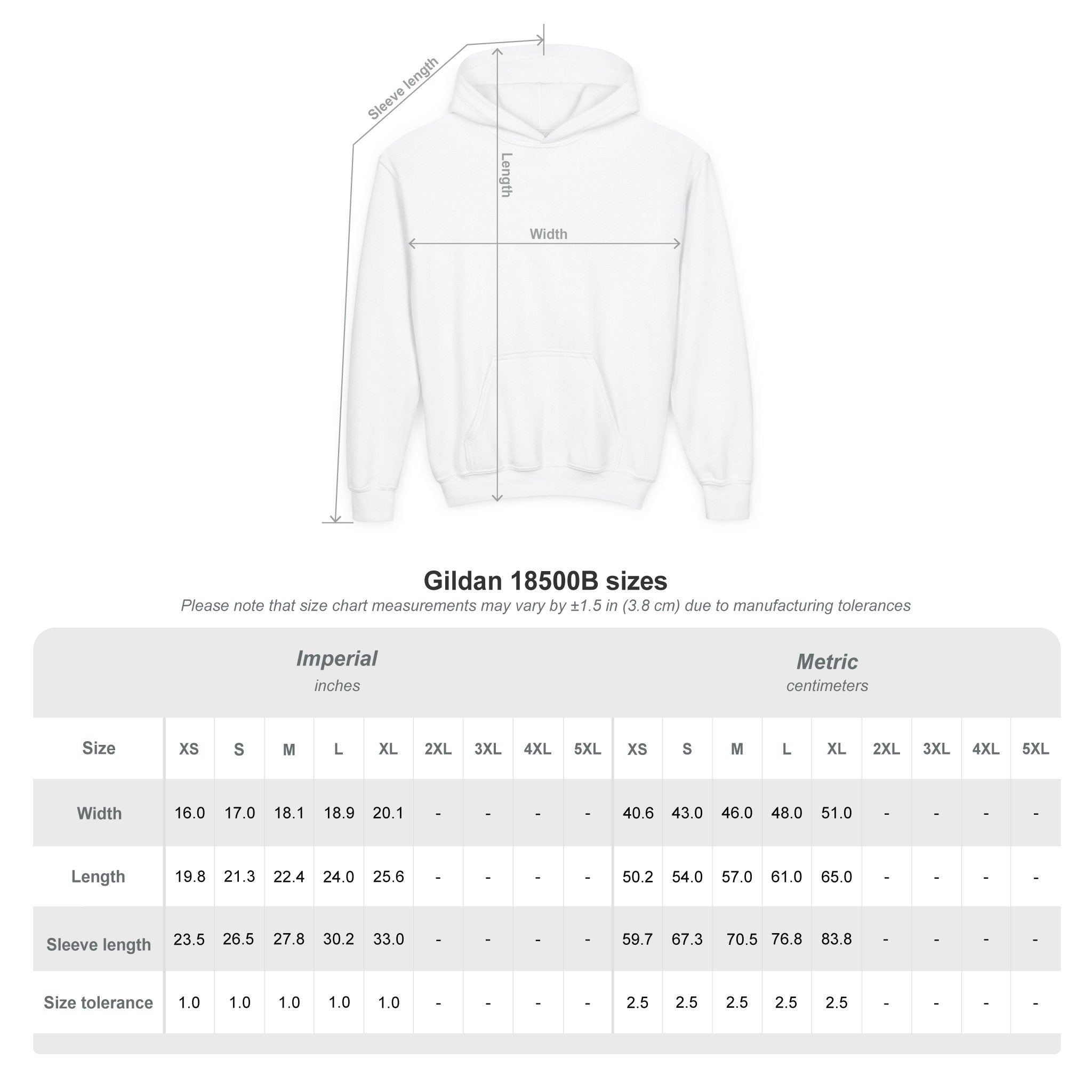 VISTA Porcupines YOUTH Hoodie