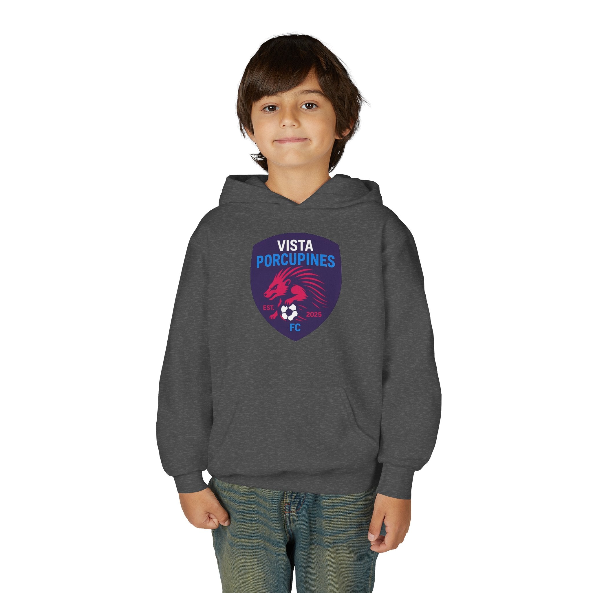 VISTA Porcupine- YOUTH Soccer Team Hoodie