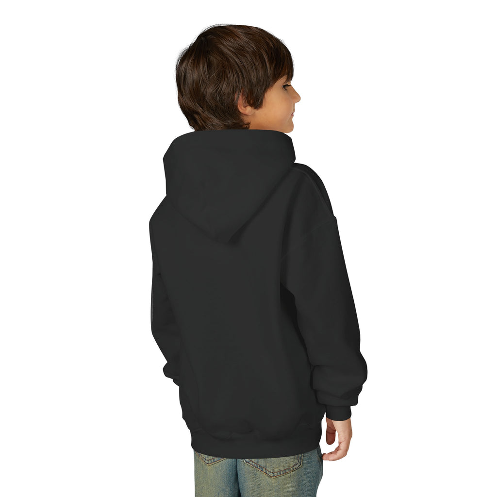 VISTA Porcupines YOUTH Hoodie
