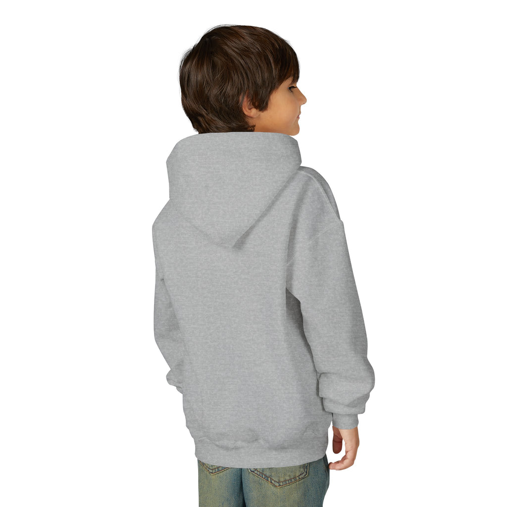 VISTA Porcupines YOUTH Hoodie