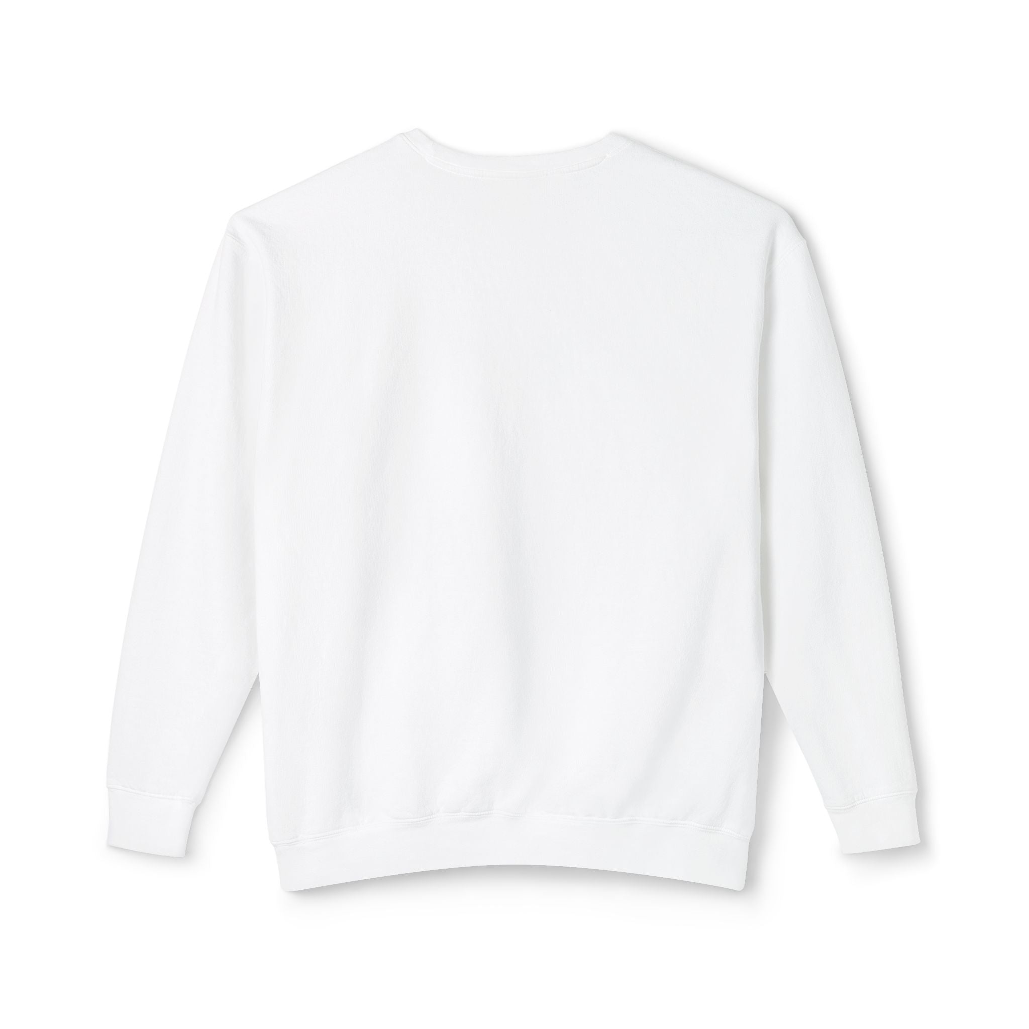 Vista Fury Crewneck Sweatshirt - CHALKY MINT is Fury Turq