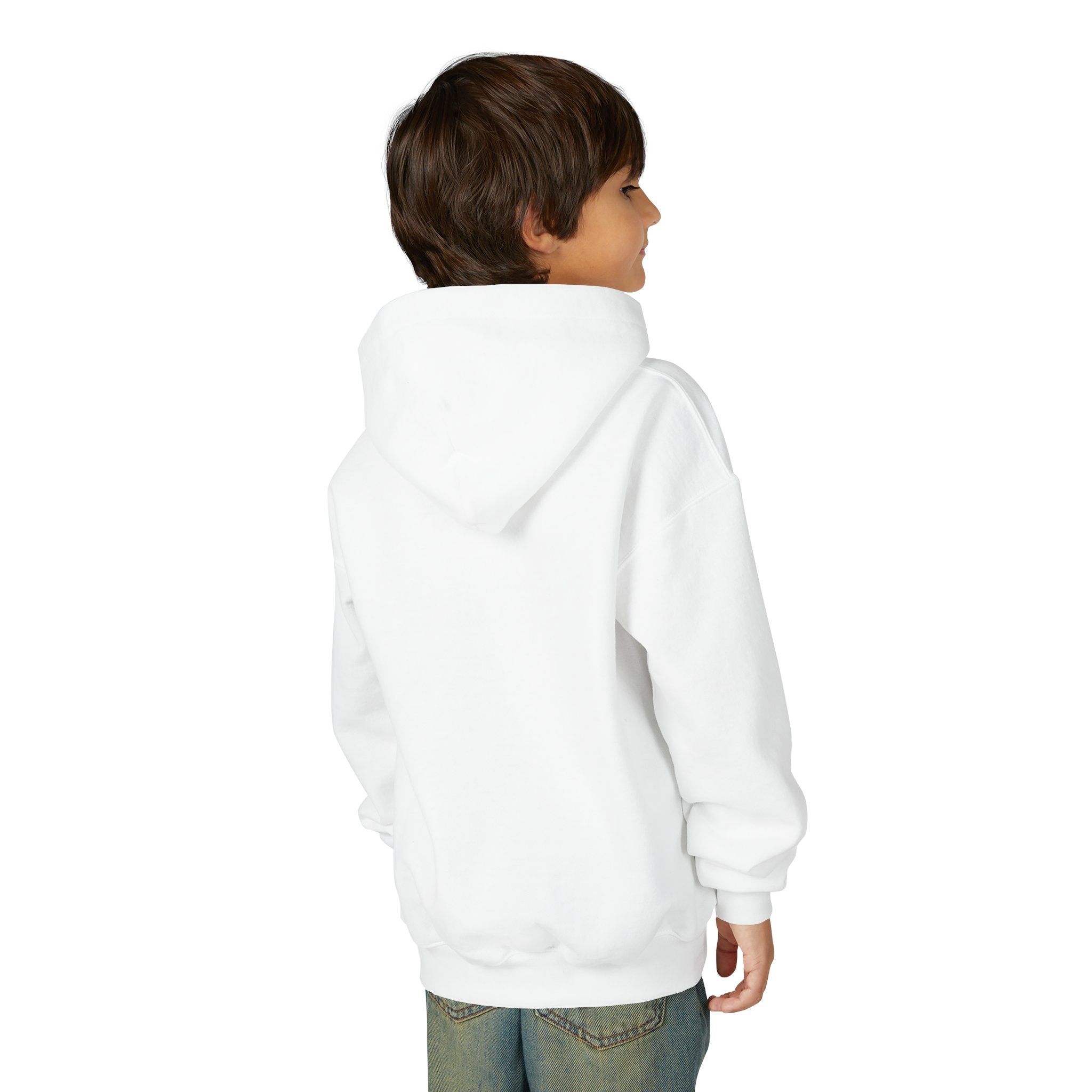 VISTA Porcupines YOUTH Hoodie
