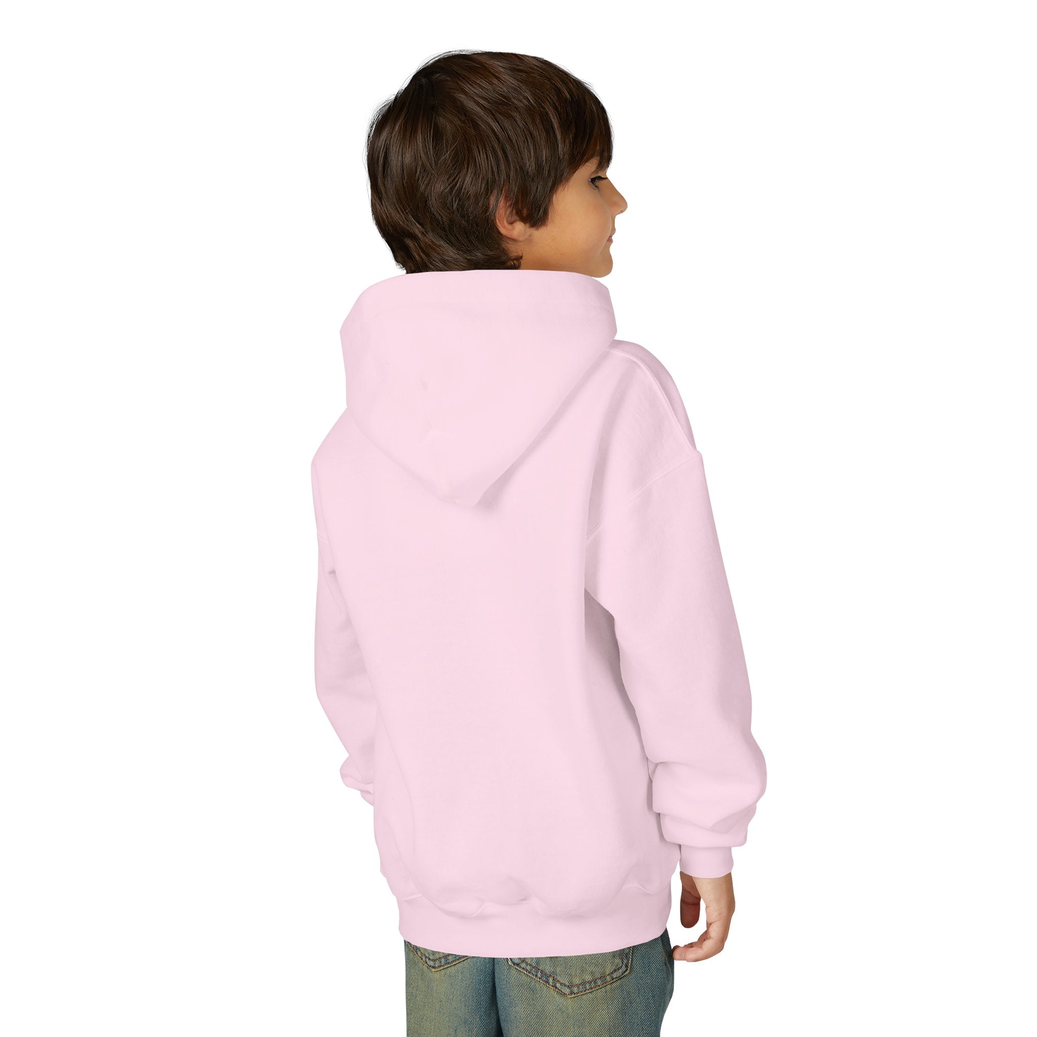 VISTA Porcupines YOUTH Hoodie