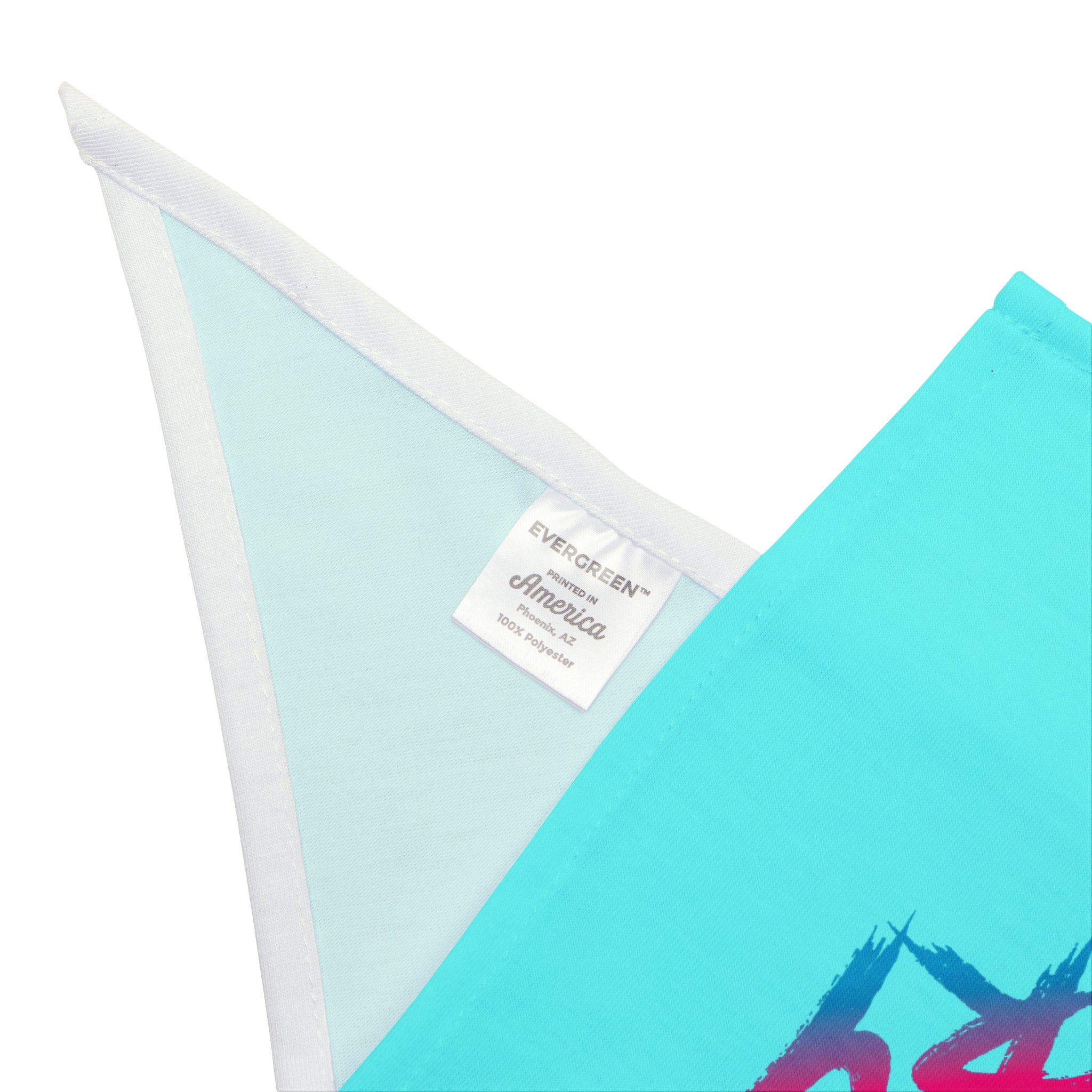 Vista Fury Pet Bandana - Retro Neon Spartan Logo Dog & Cat Accessory