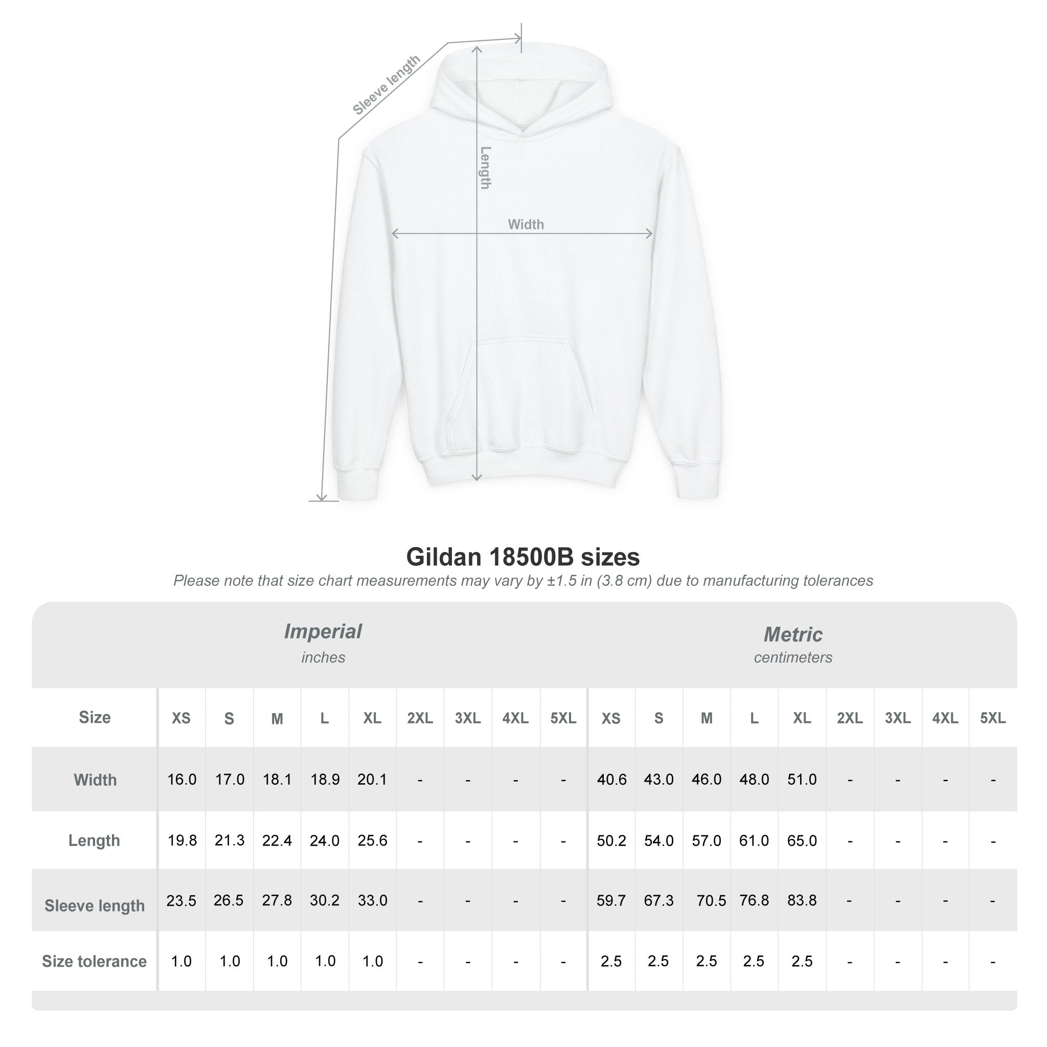 VISTA Porcupines YOUTH Hoodie